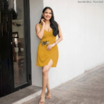 Kara Mini Dress - Peace Love