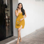 Kara Mini Dress - Willa